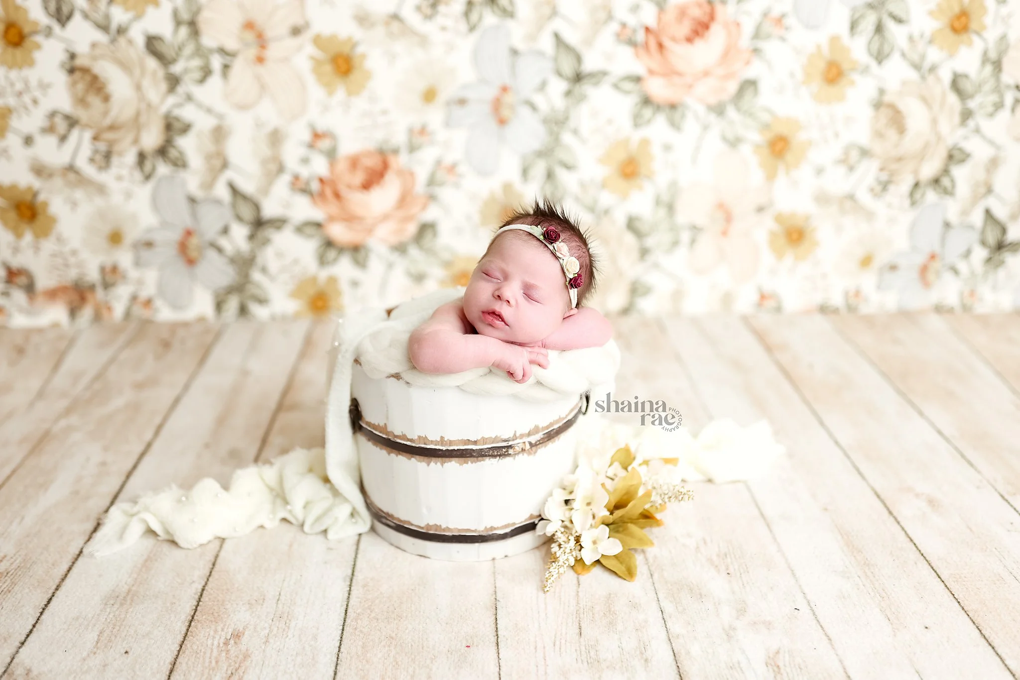 Evie-45.jpg