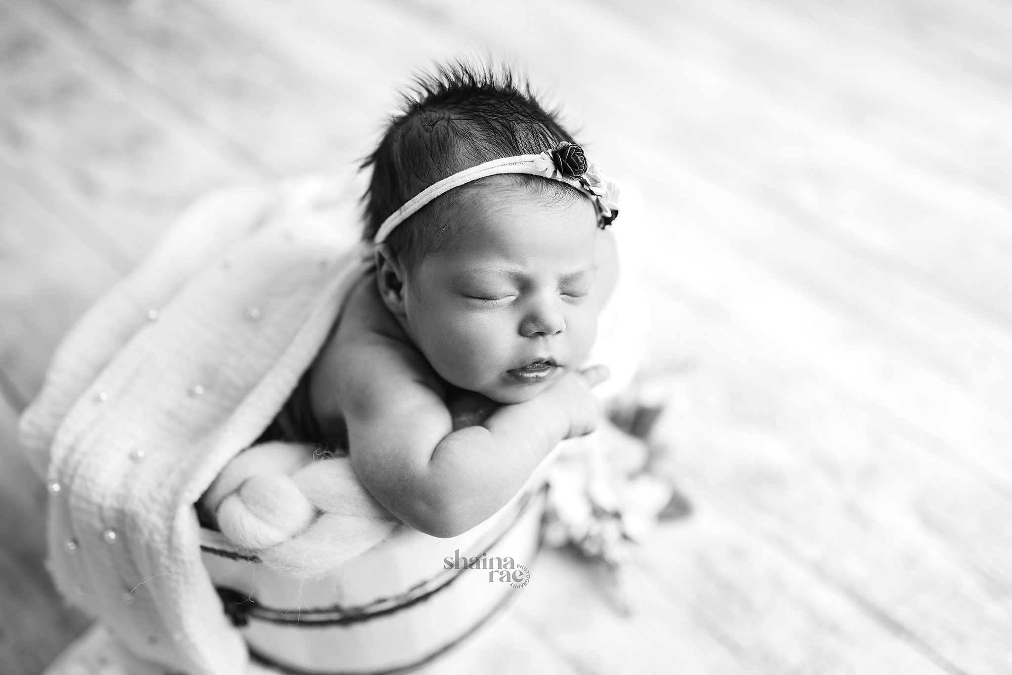 Evie-52.jpg