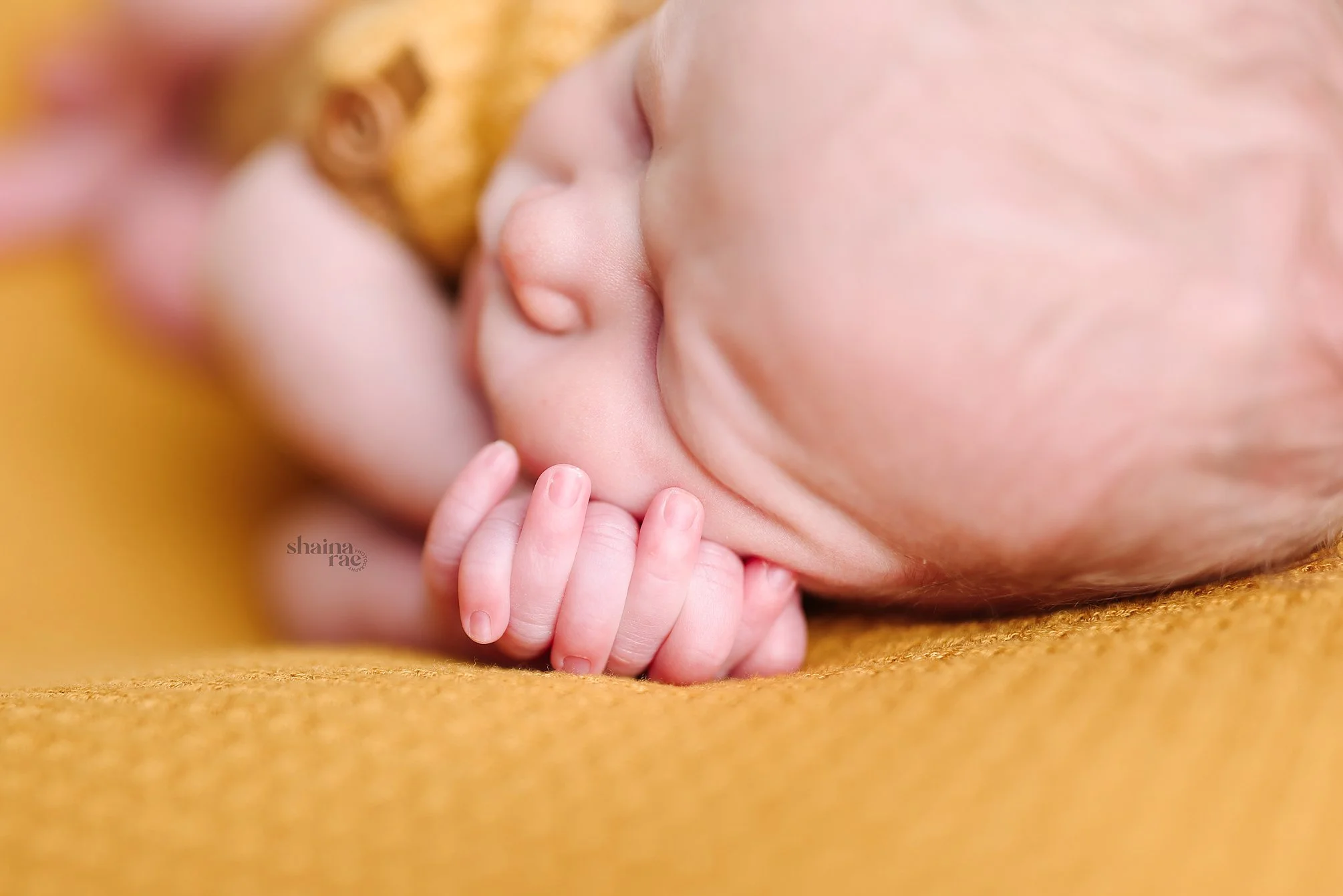 Elijah-54.jpg
