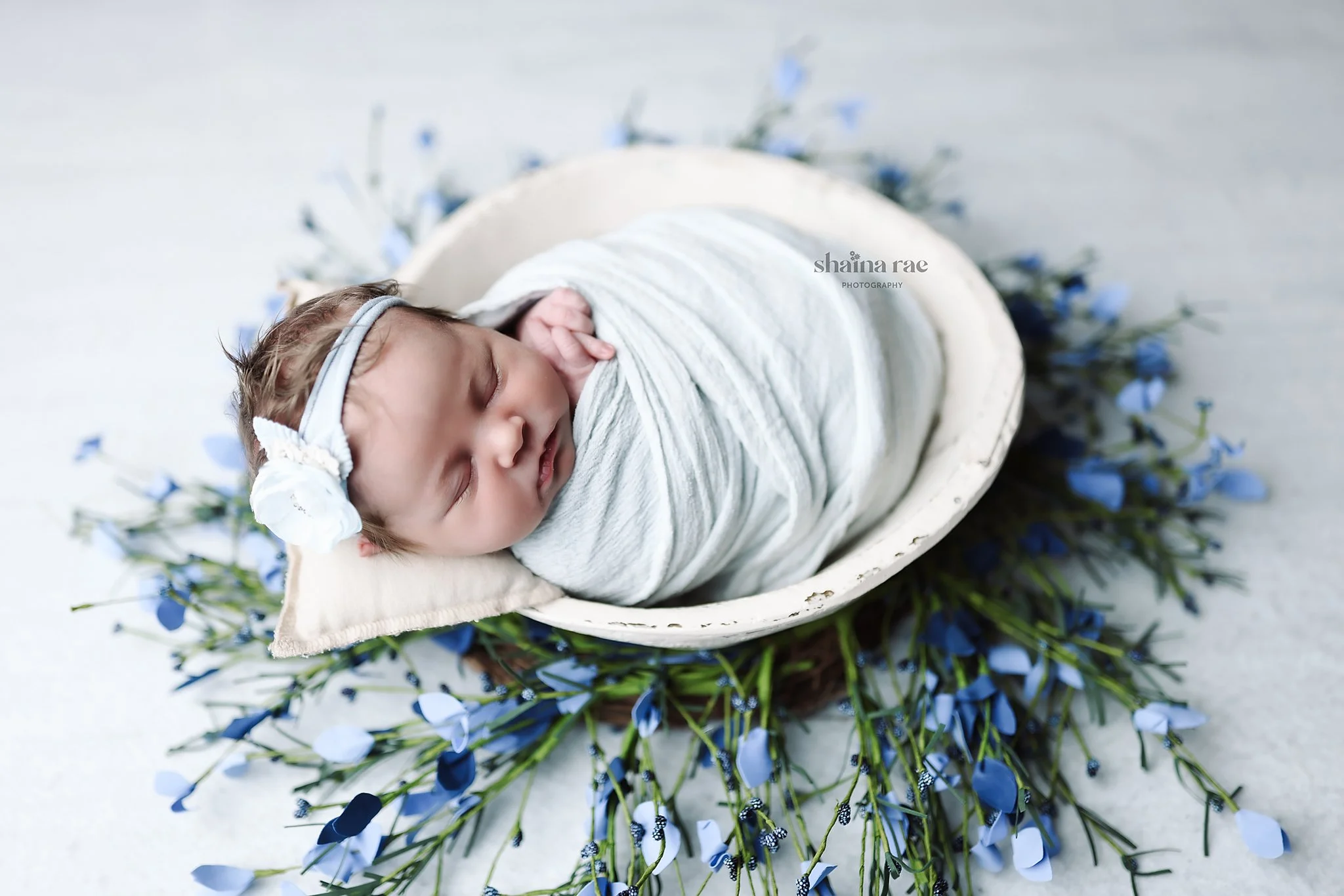 Jemma-102.jpg