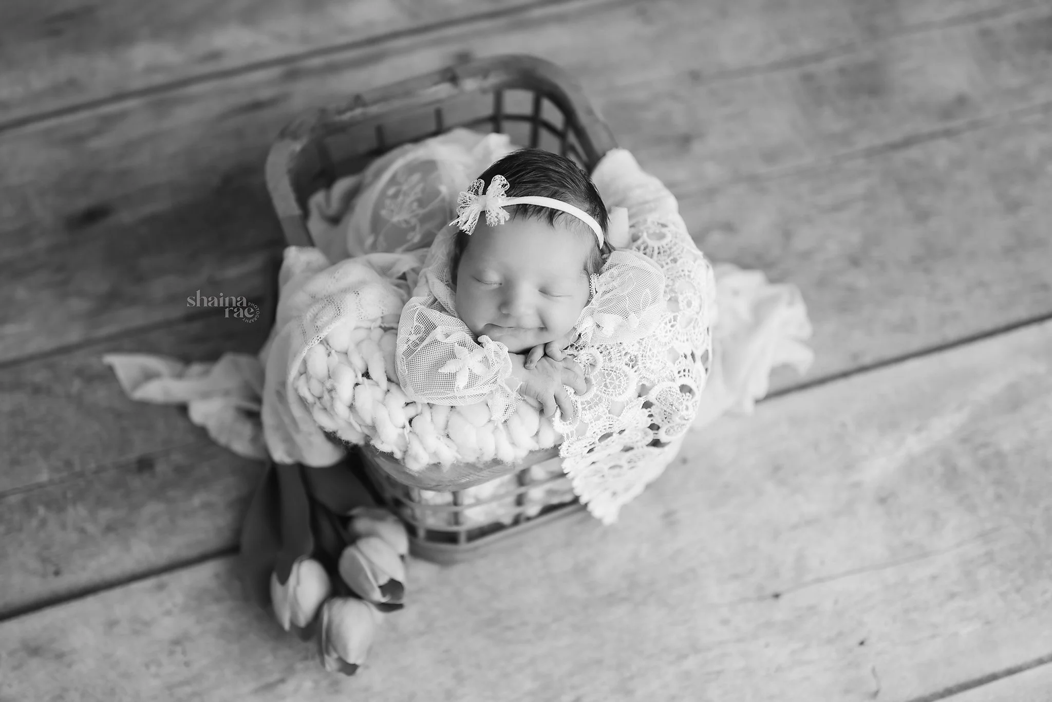 Brynlee-17.jpg