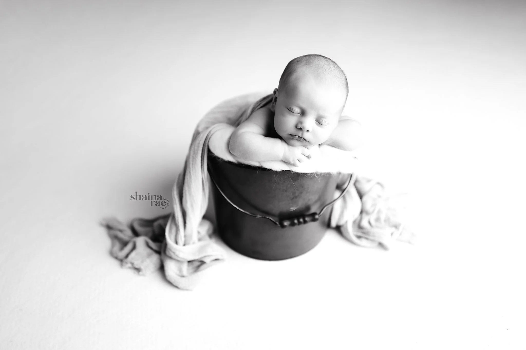 Maddox-40.jpg