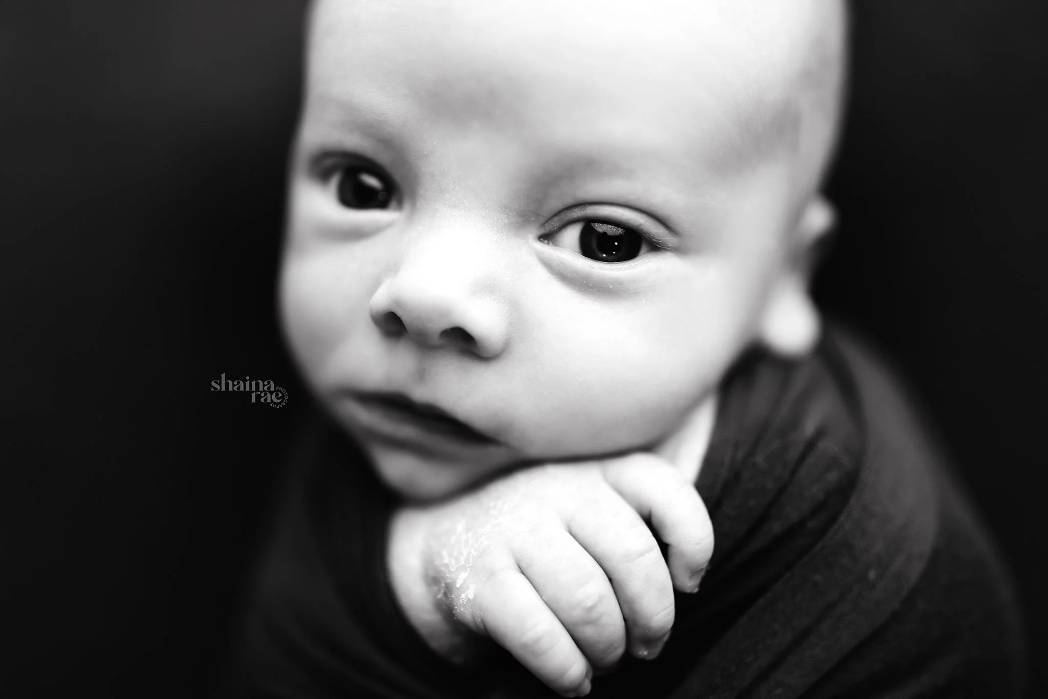 Maddox-51.jpg
