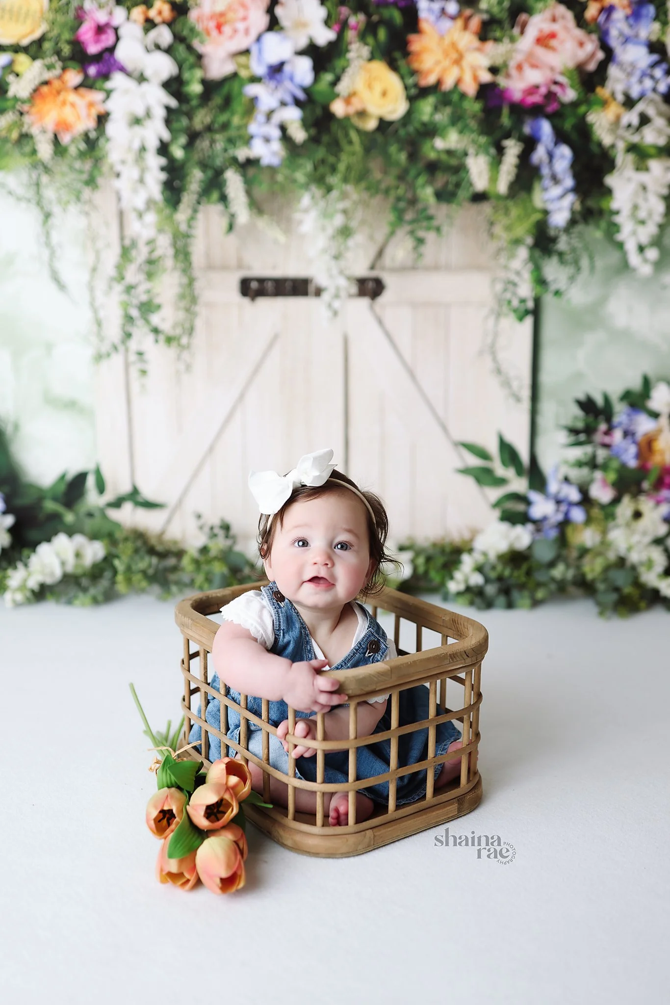 Olivia 6 Months-23.jpg