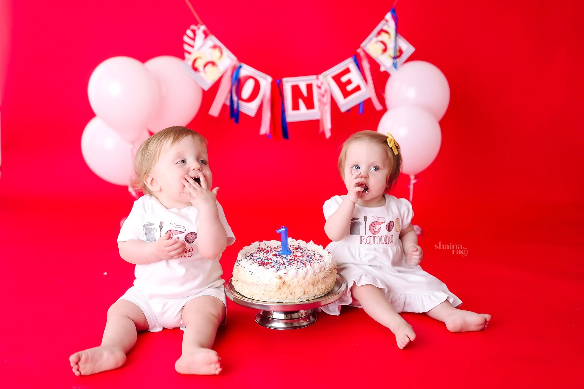 TwinsOne-67.jpg