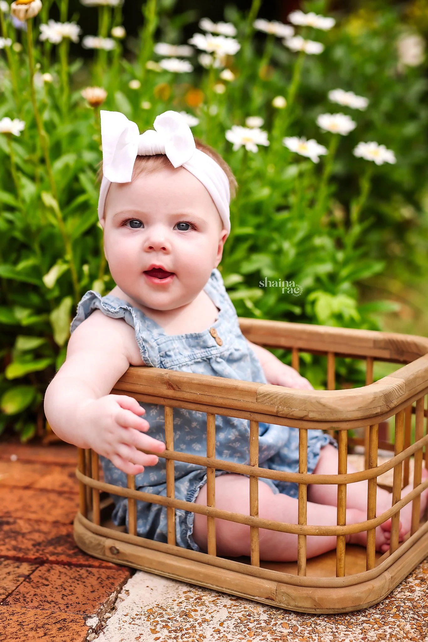 Evie 6 Months-57.jpg