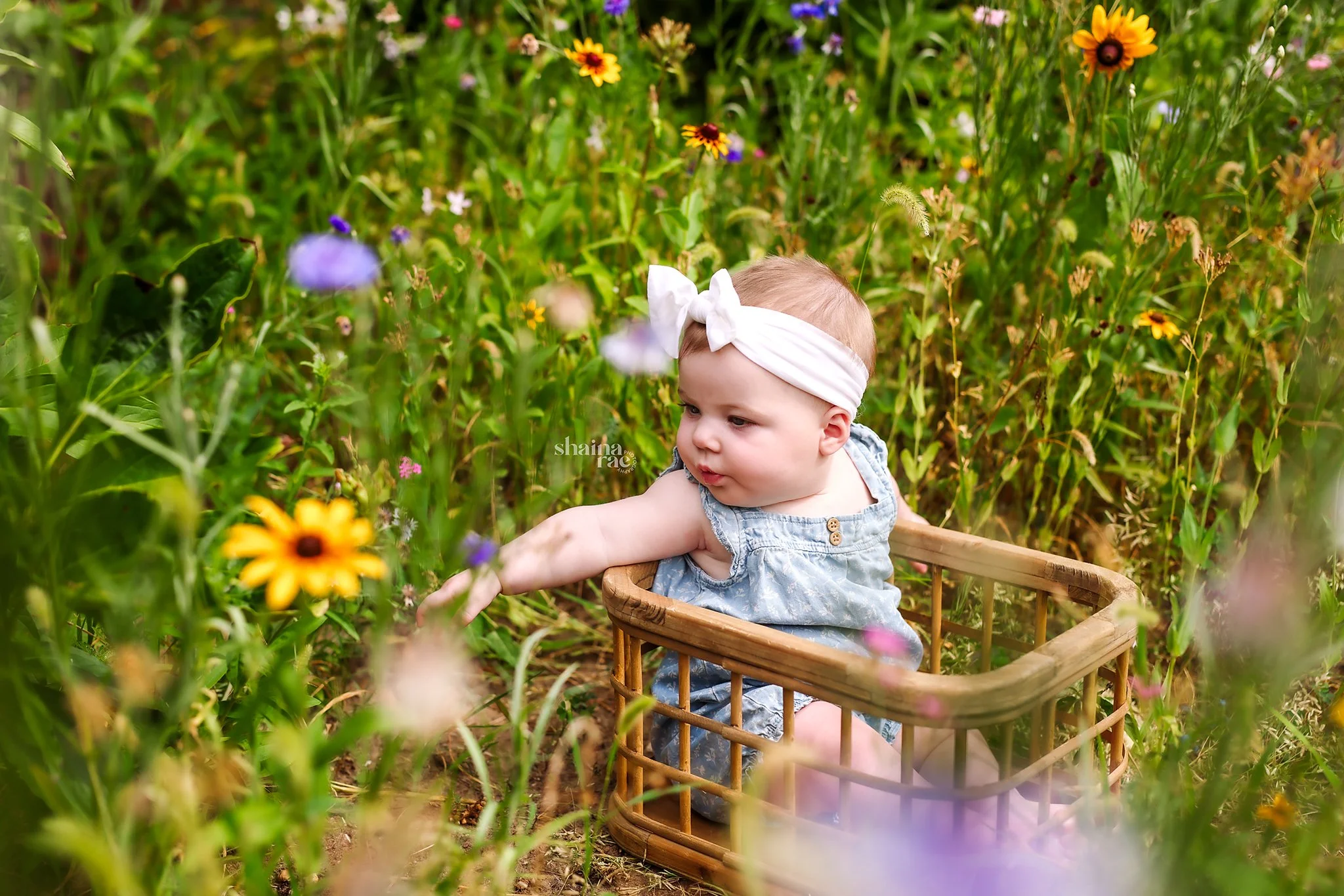 Evie 6 Months-65.jpg