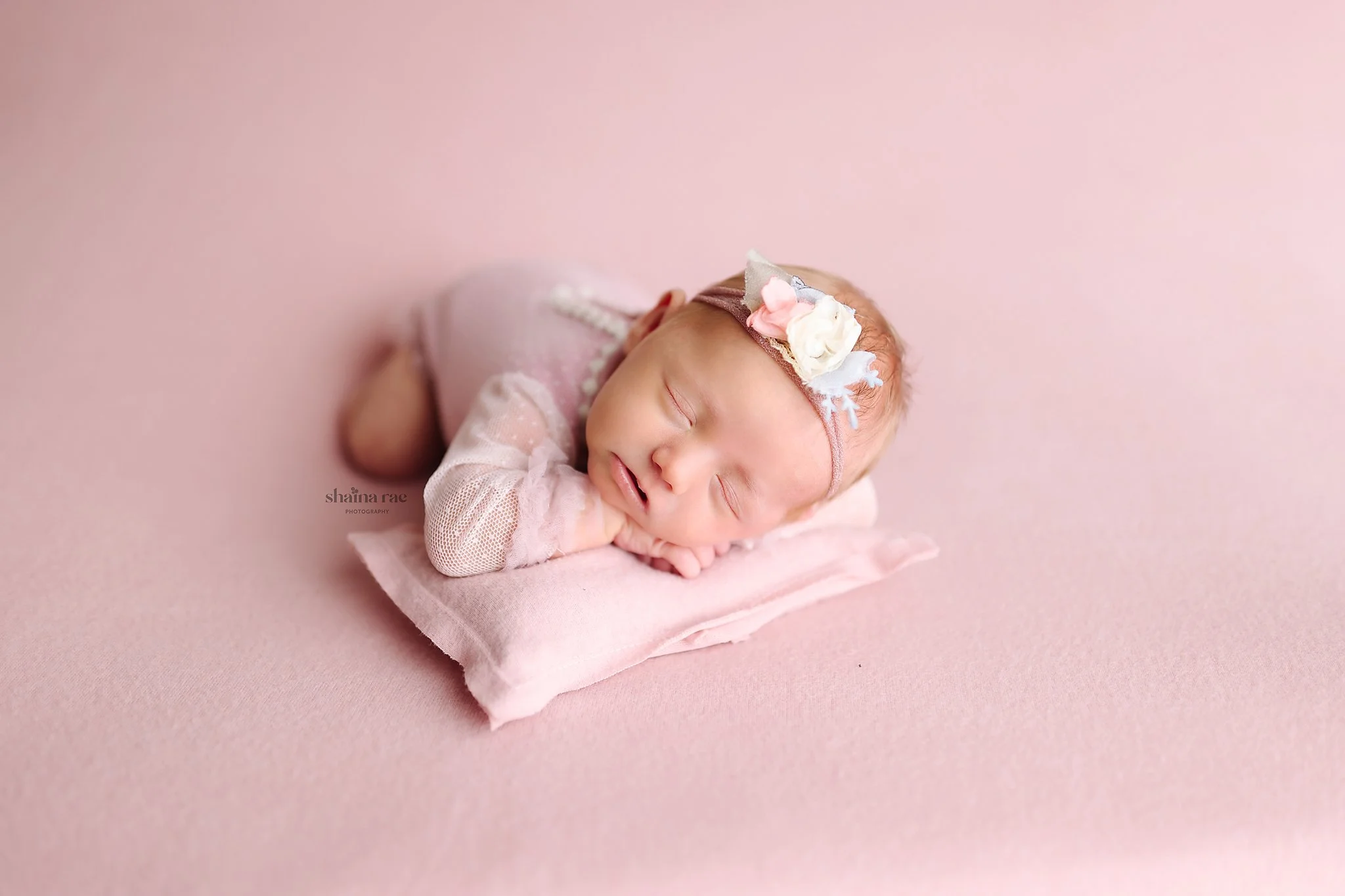 Gracie-19.jpg