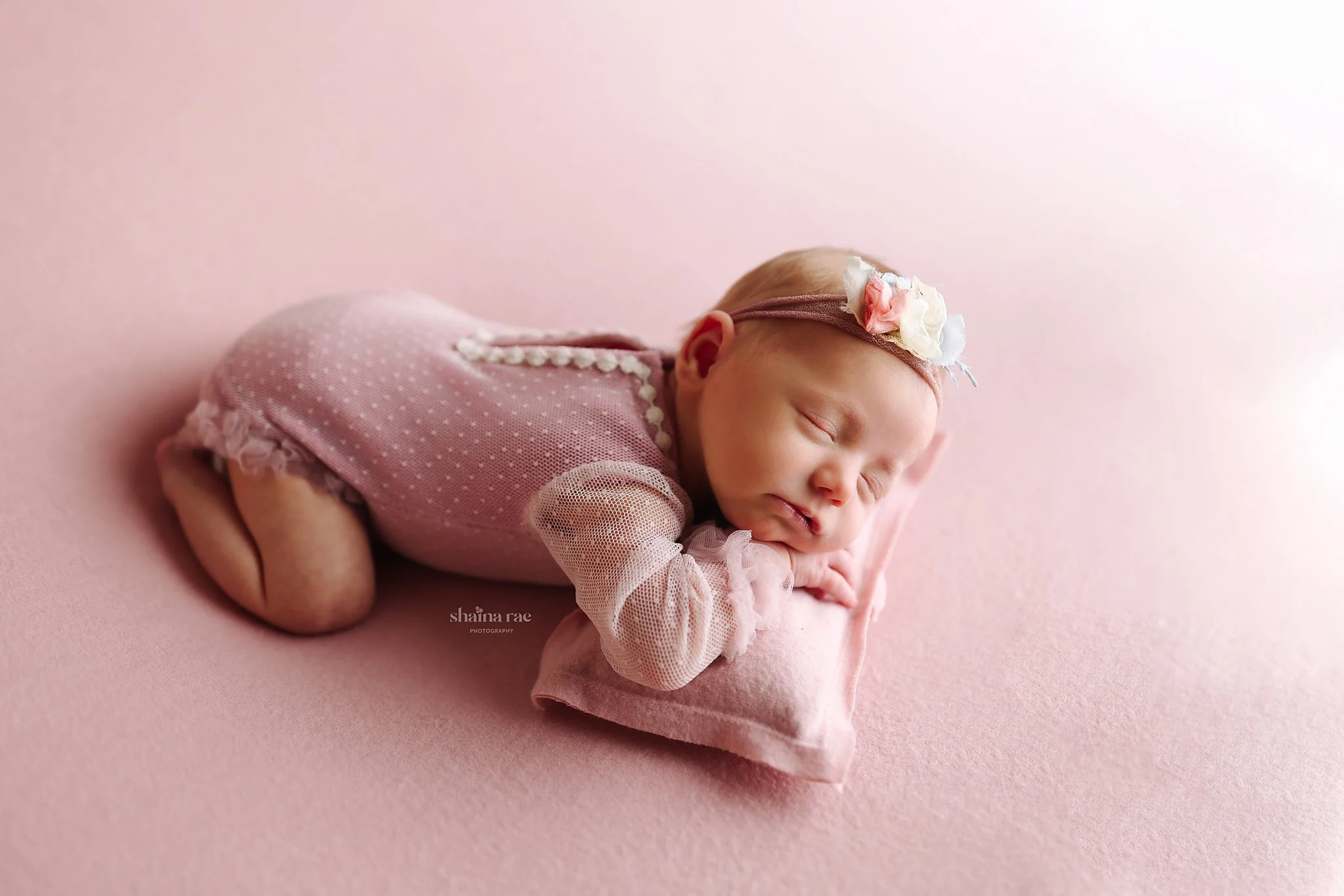Gracie-24.jpg