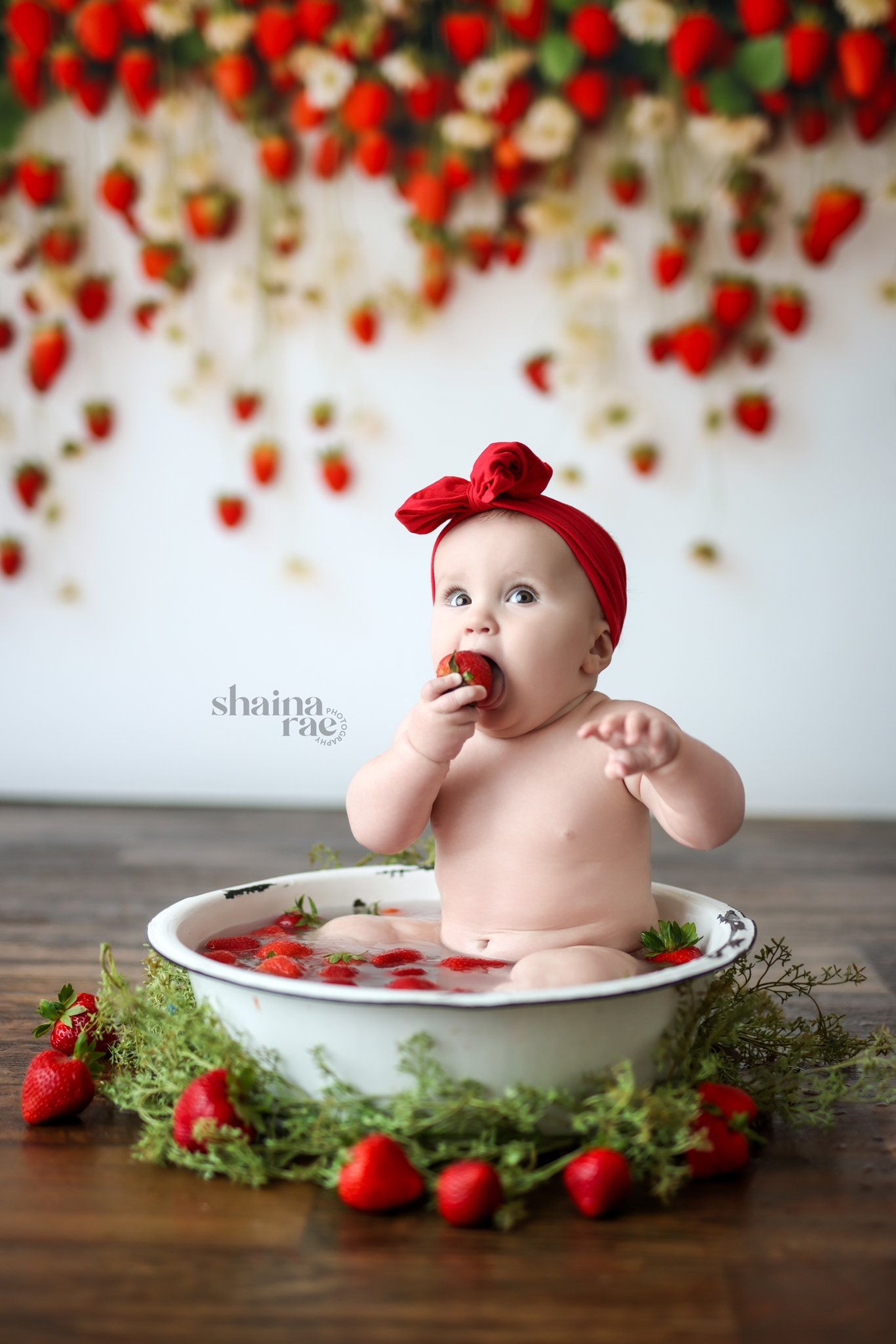 Bryce6-51.jpg