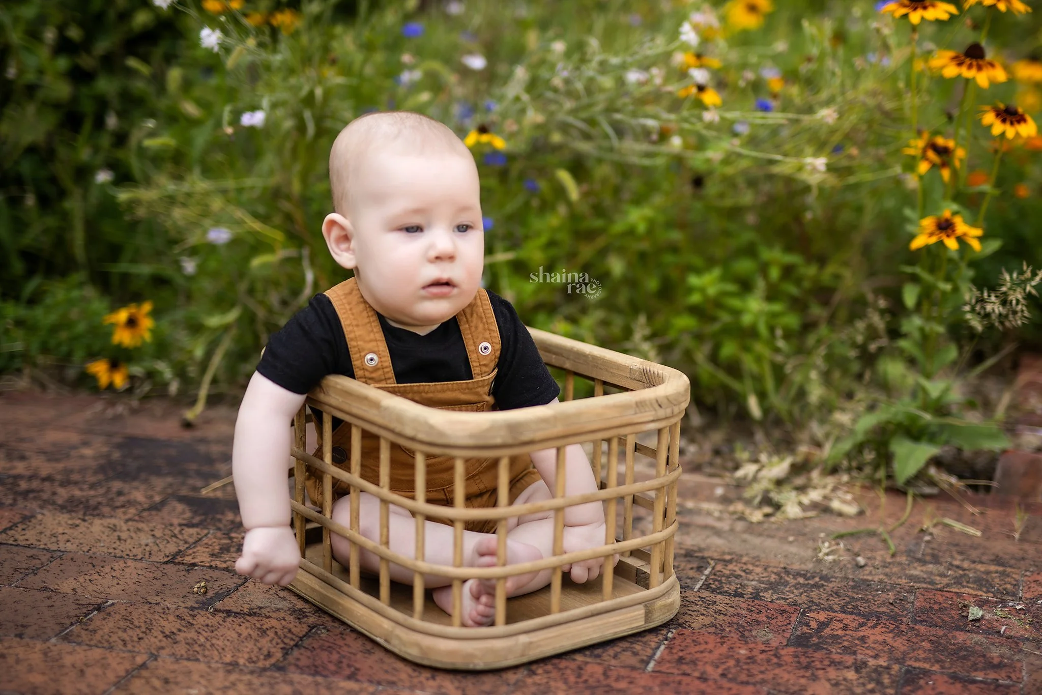 Rowan 6mo-66.jpg