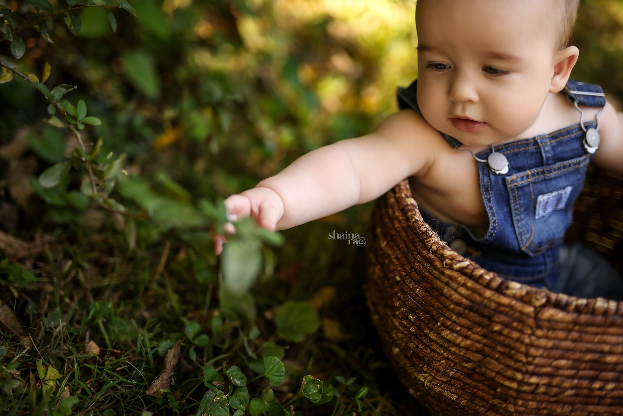 Kaden6-67.jpg