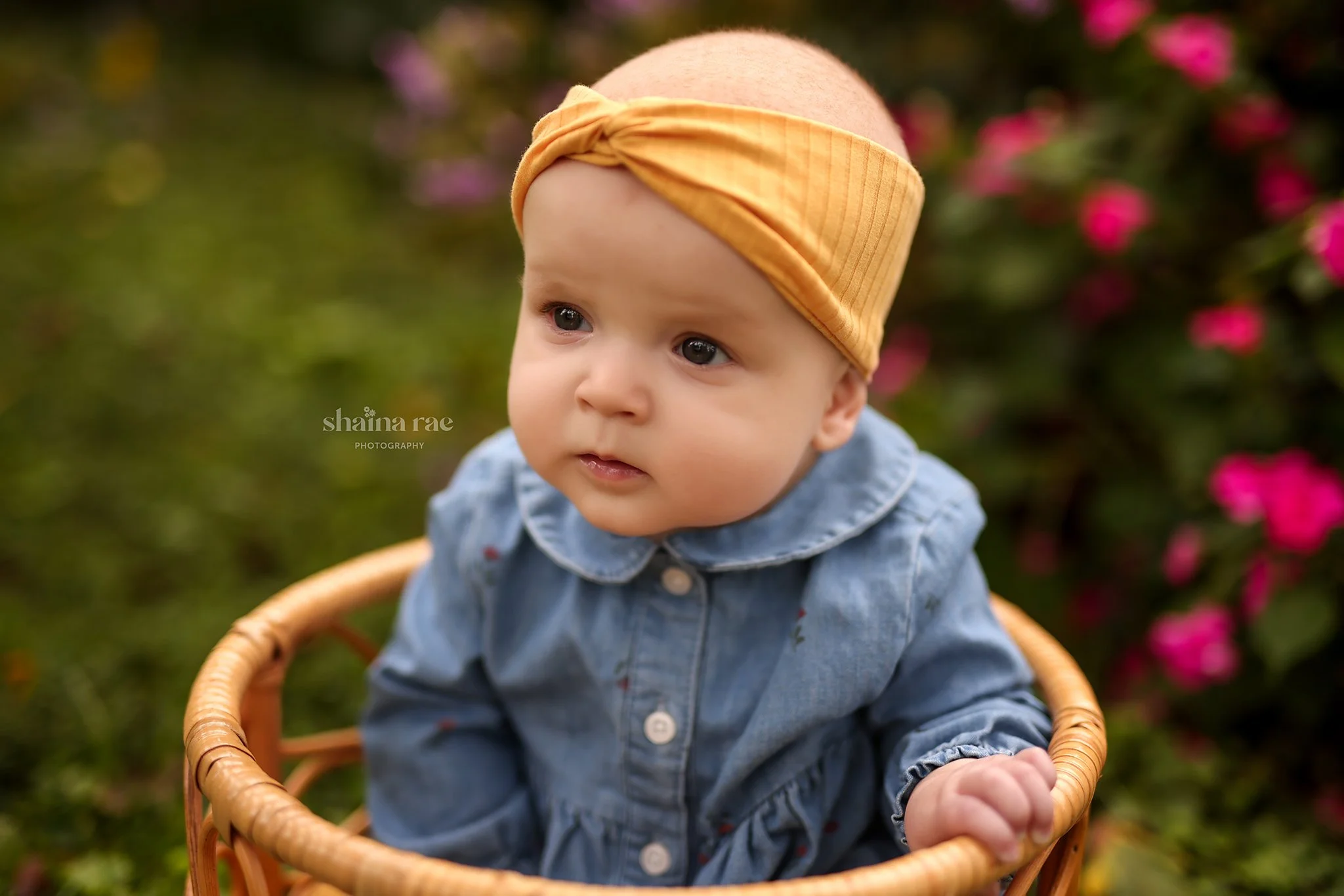 Paisley-87.jpg