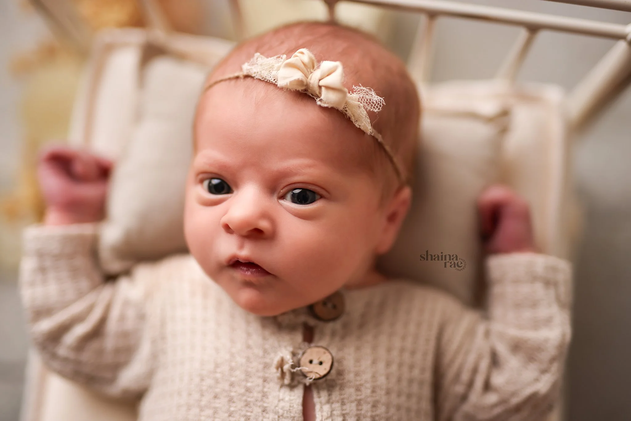 Quinn-59.jpg