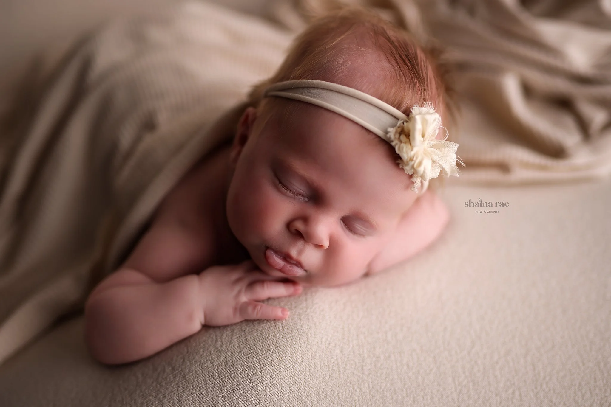 Lily-138.jpg