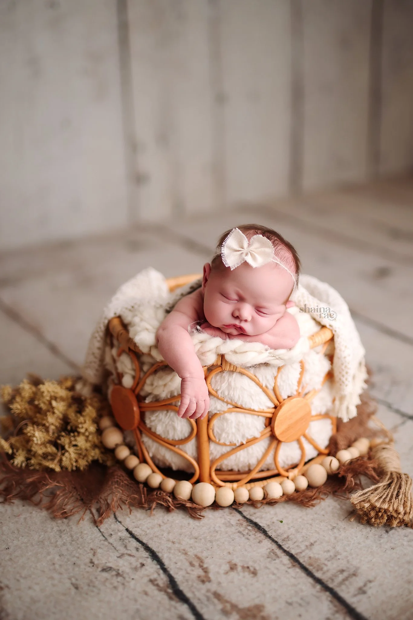 Addison-81.jpg