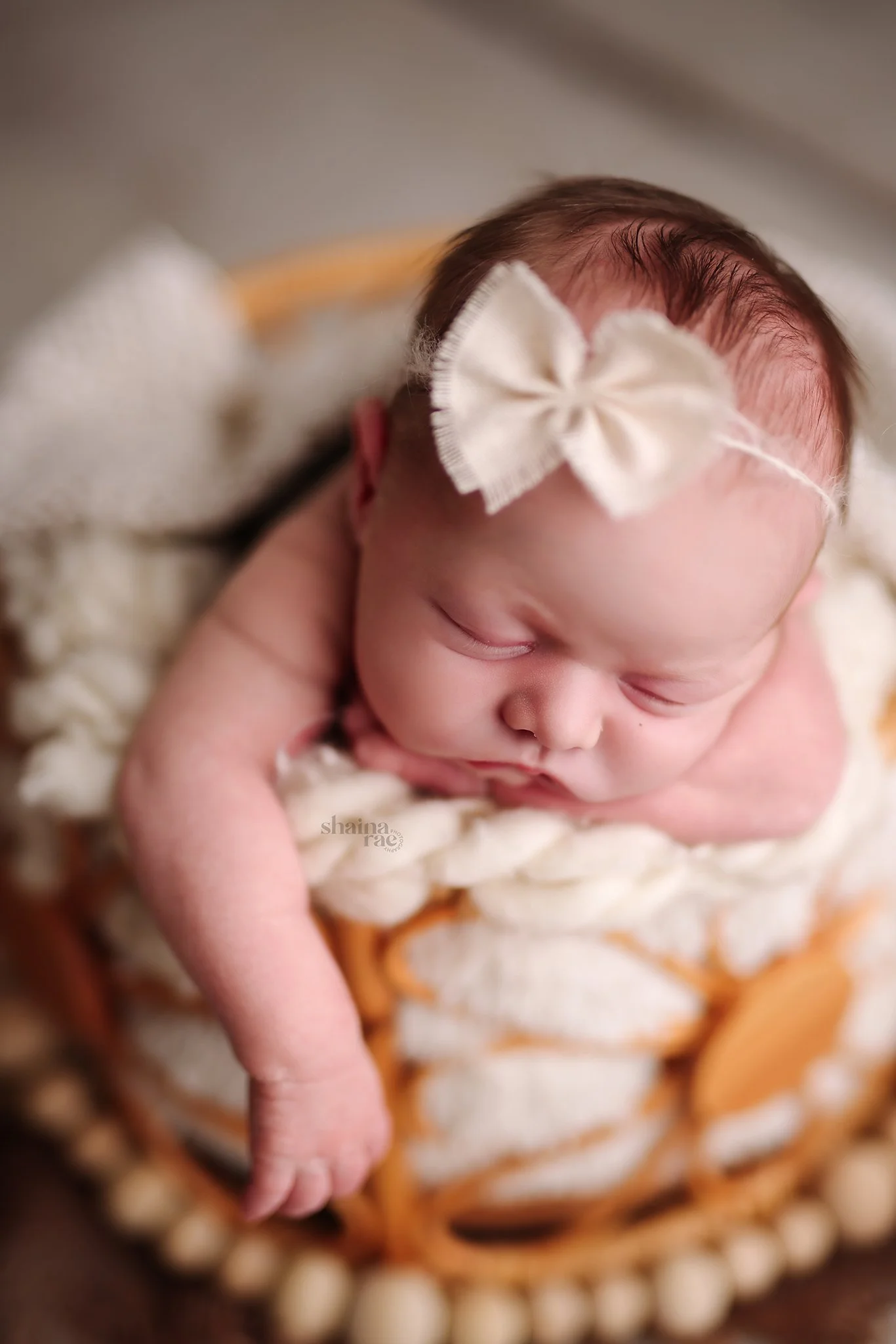 Addison-83.jpg