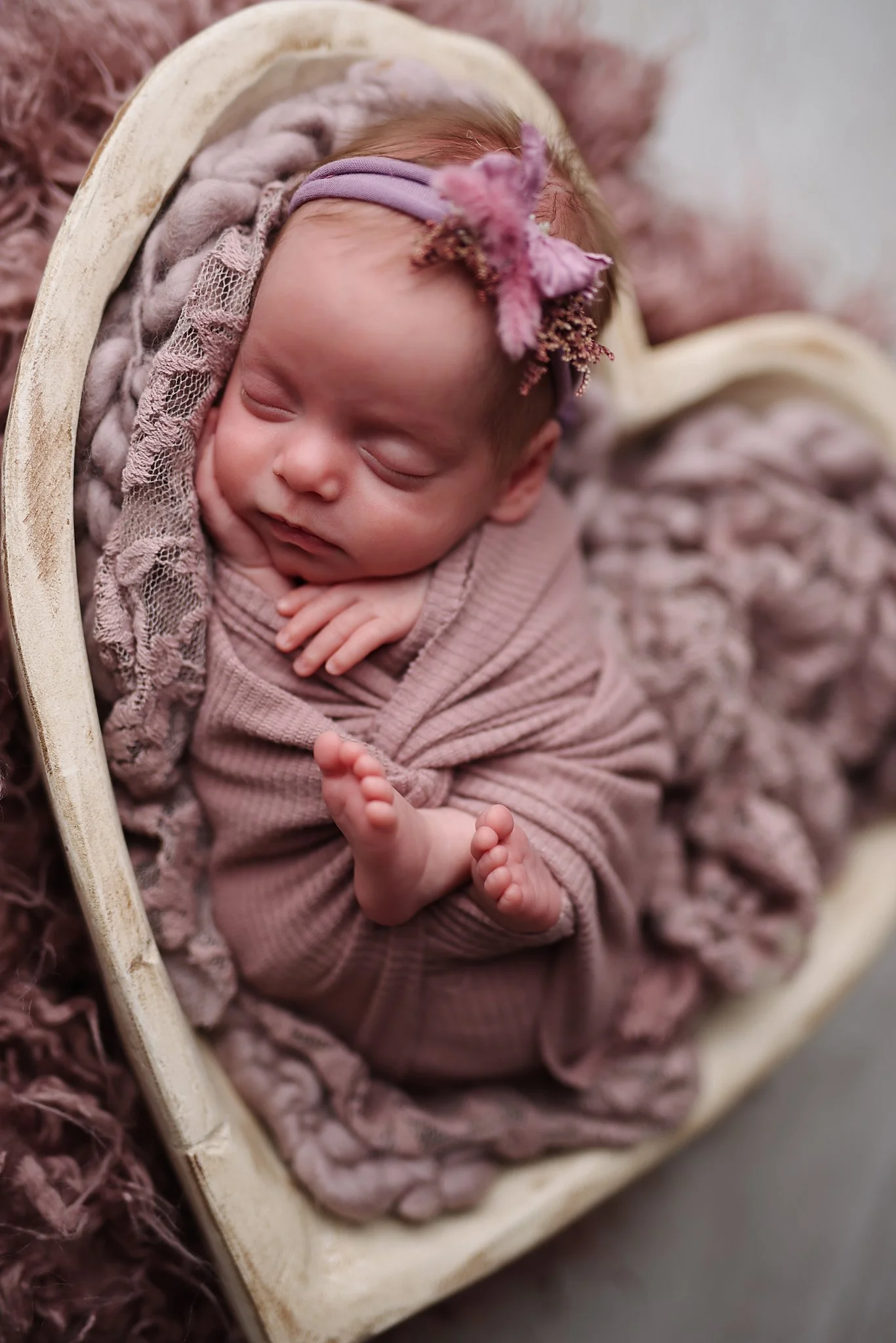 violet-99.jpg