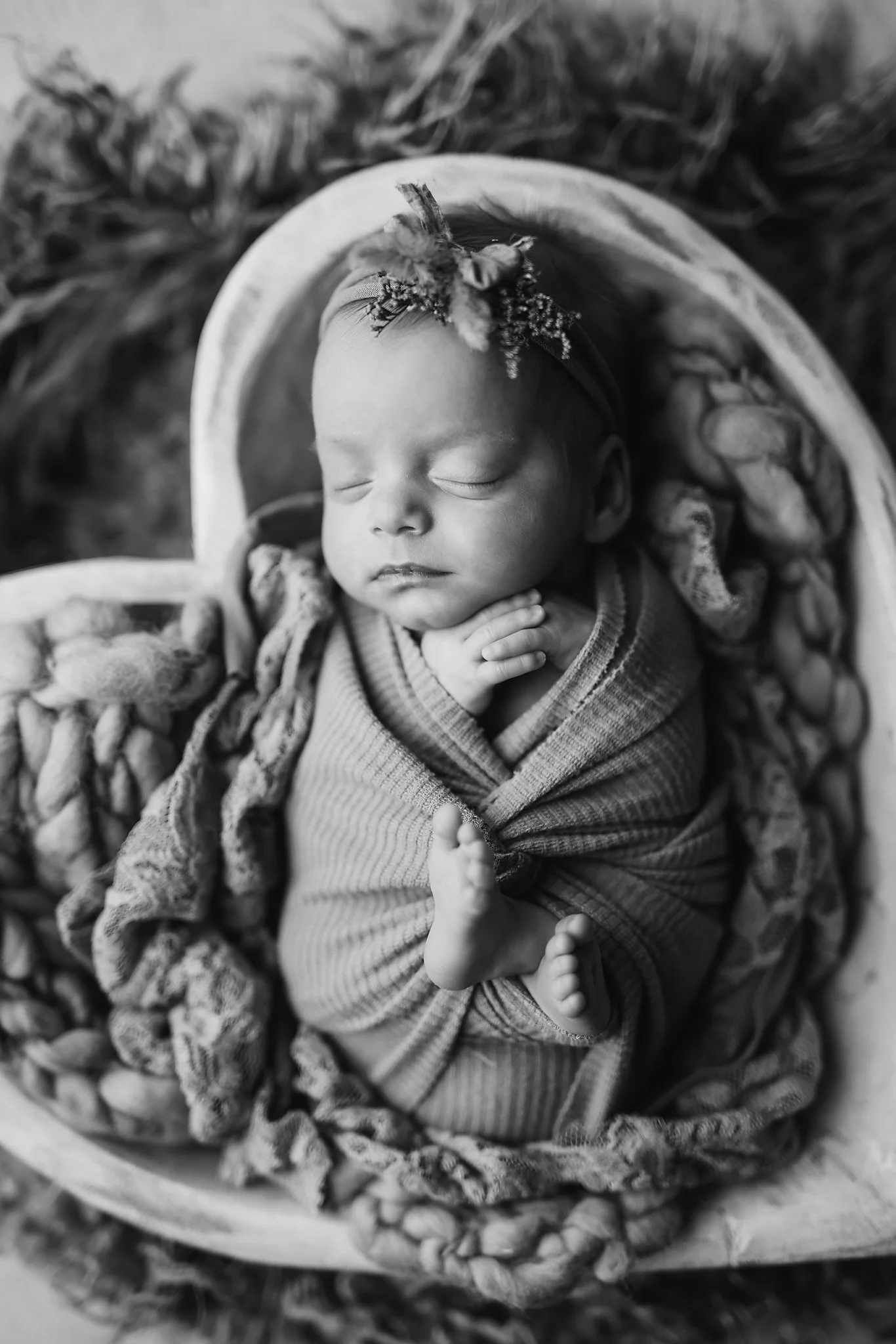 violet-108.jpg