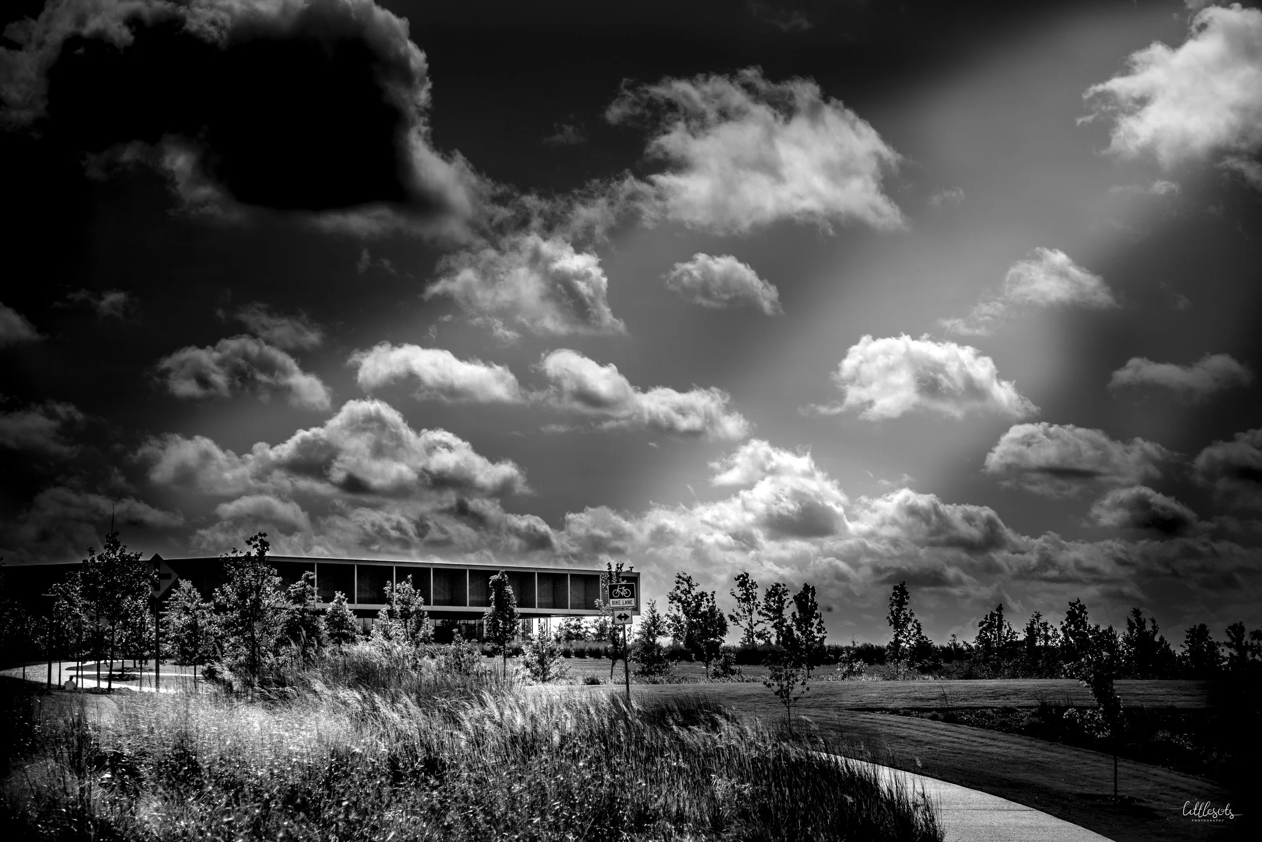 _MG_2067.jpg