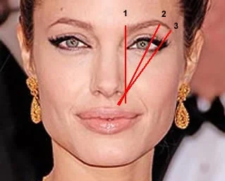 The three points are a great guide to the right brow shape and size .