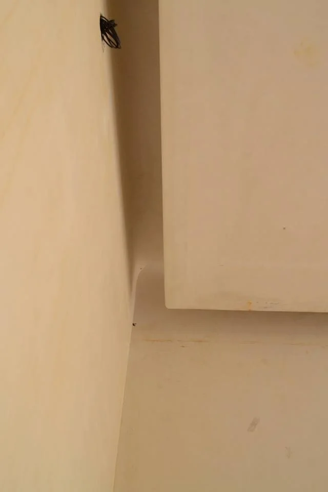 obra colegio 0168.jpg