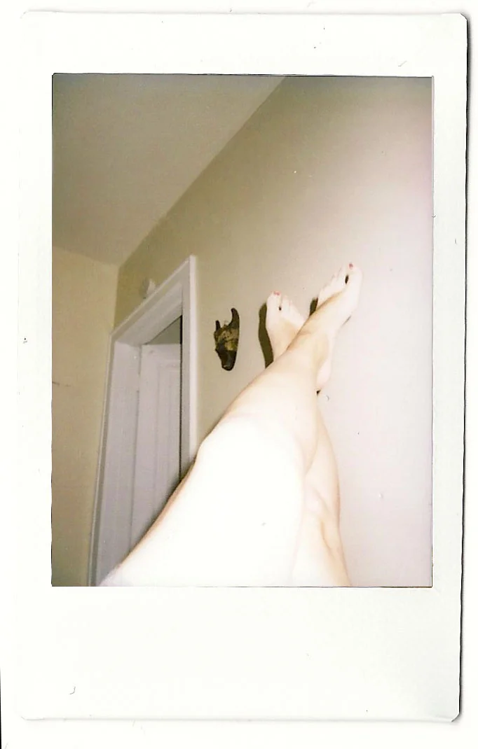 legs2012_.jpg