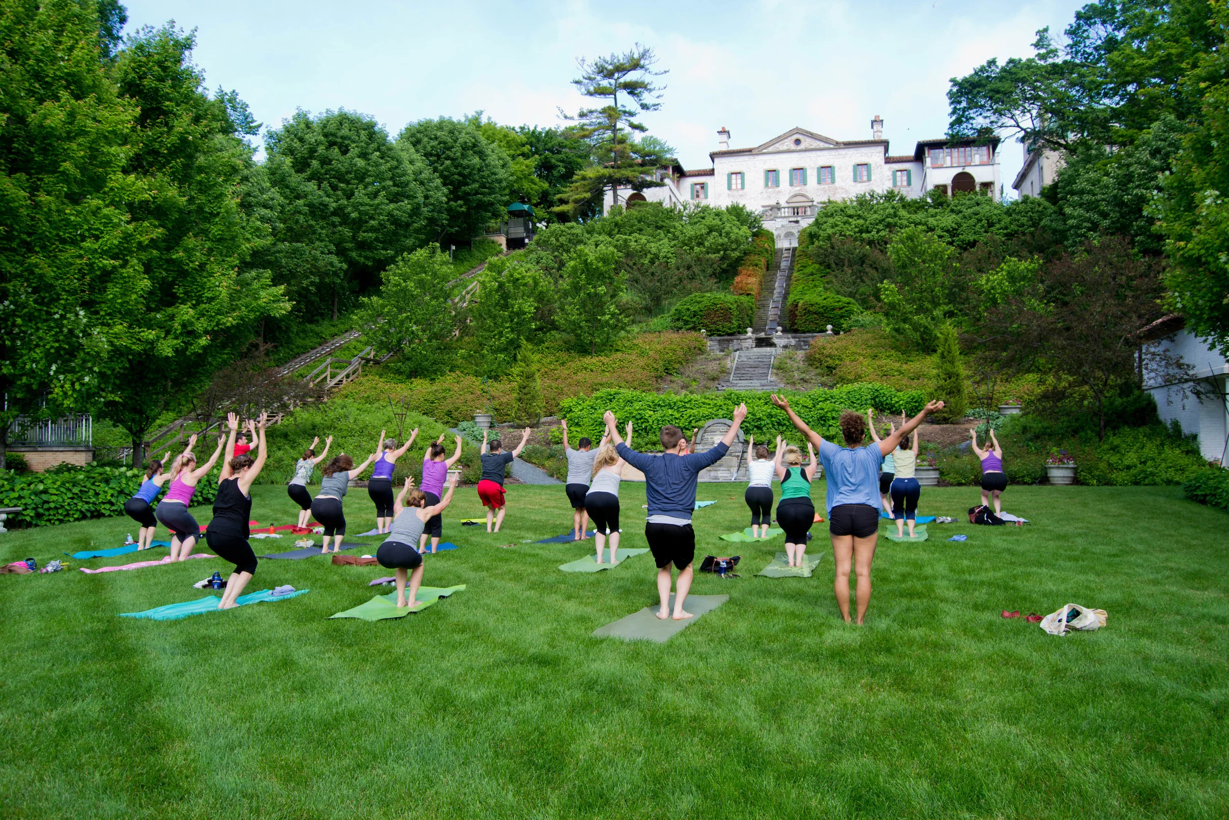 yogakat.jpg
