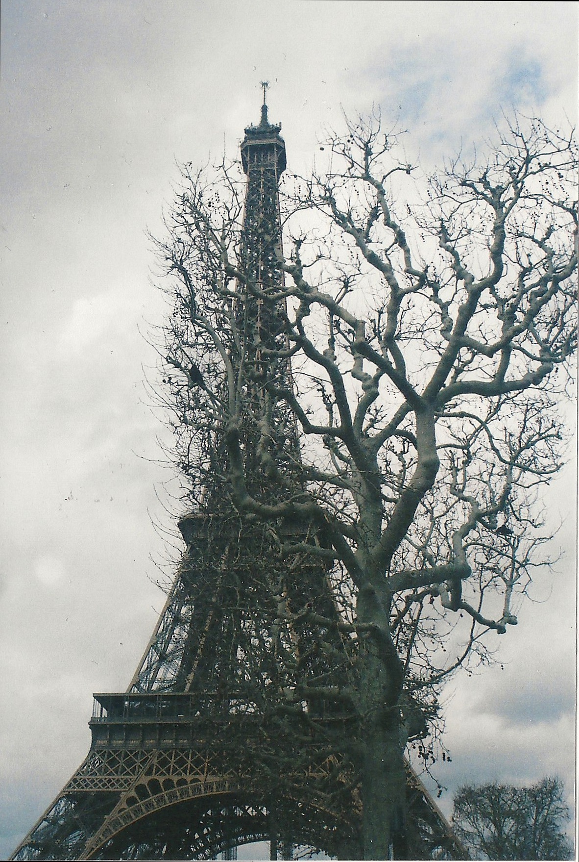 Paris.jpeg