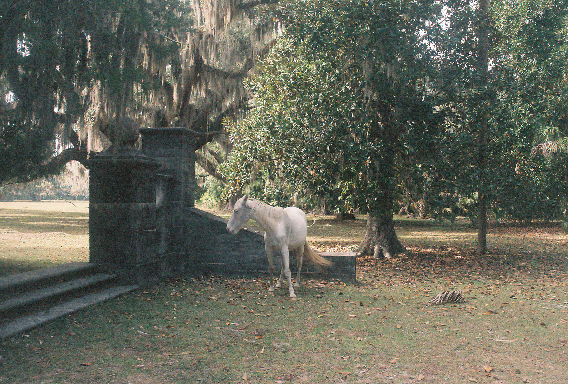 3868012-R5-018-7A.jpg