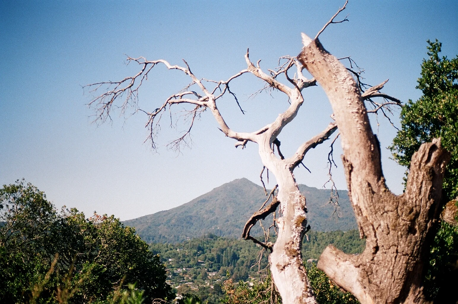 42720009.JPG