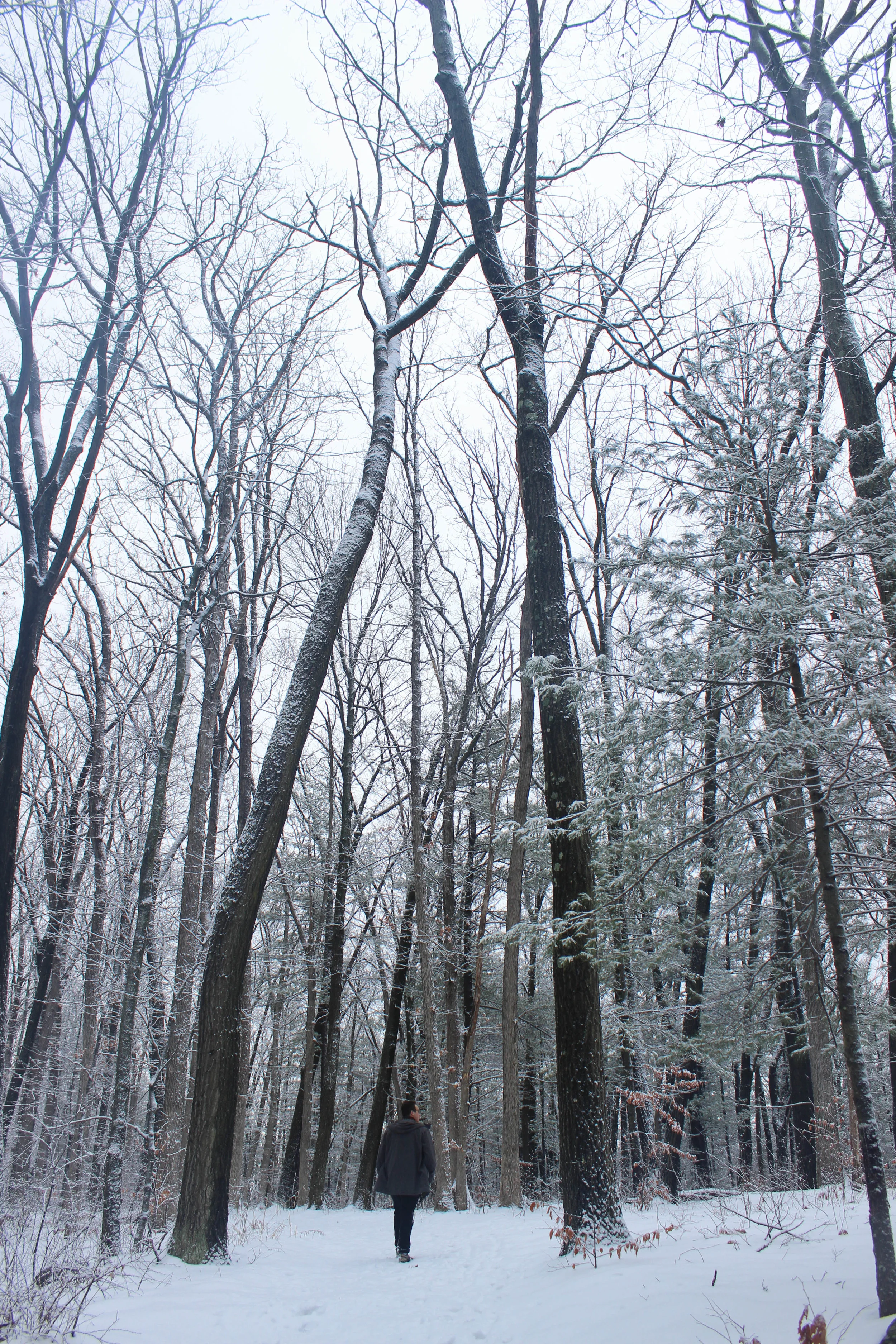 devilslake7.jpg