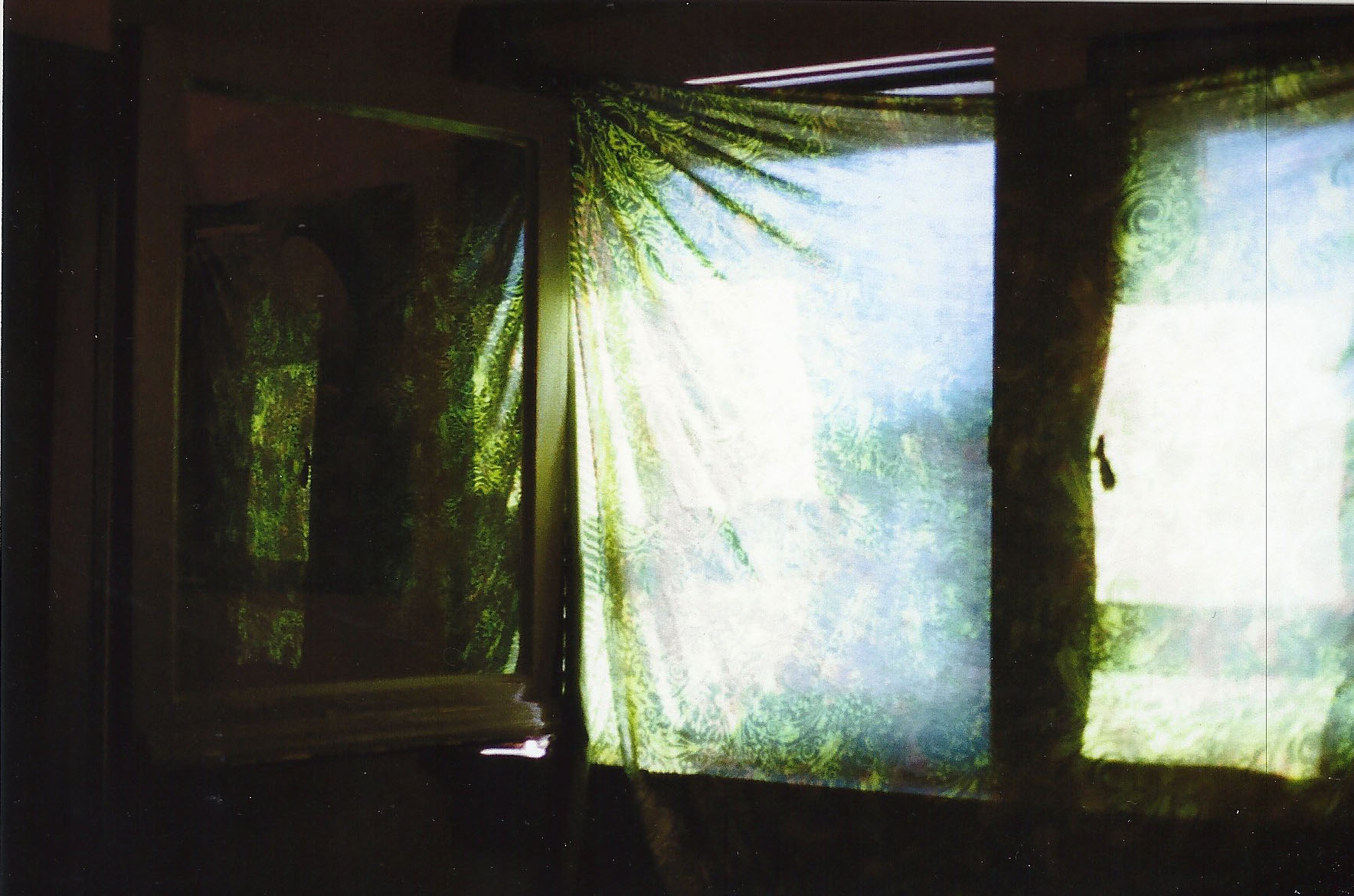 windowdan16.jpg