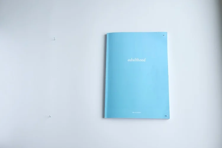 TVI01+adulthood+1000+cover.jpg