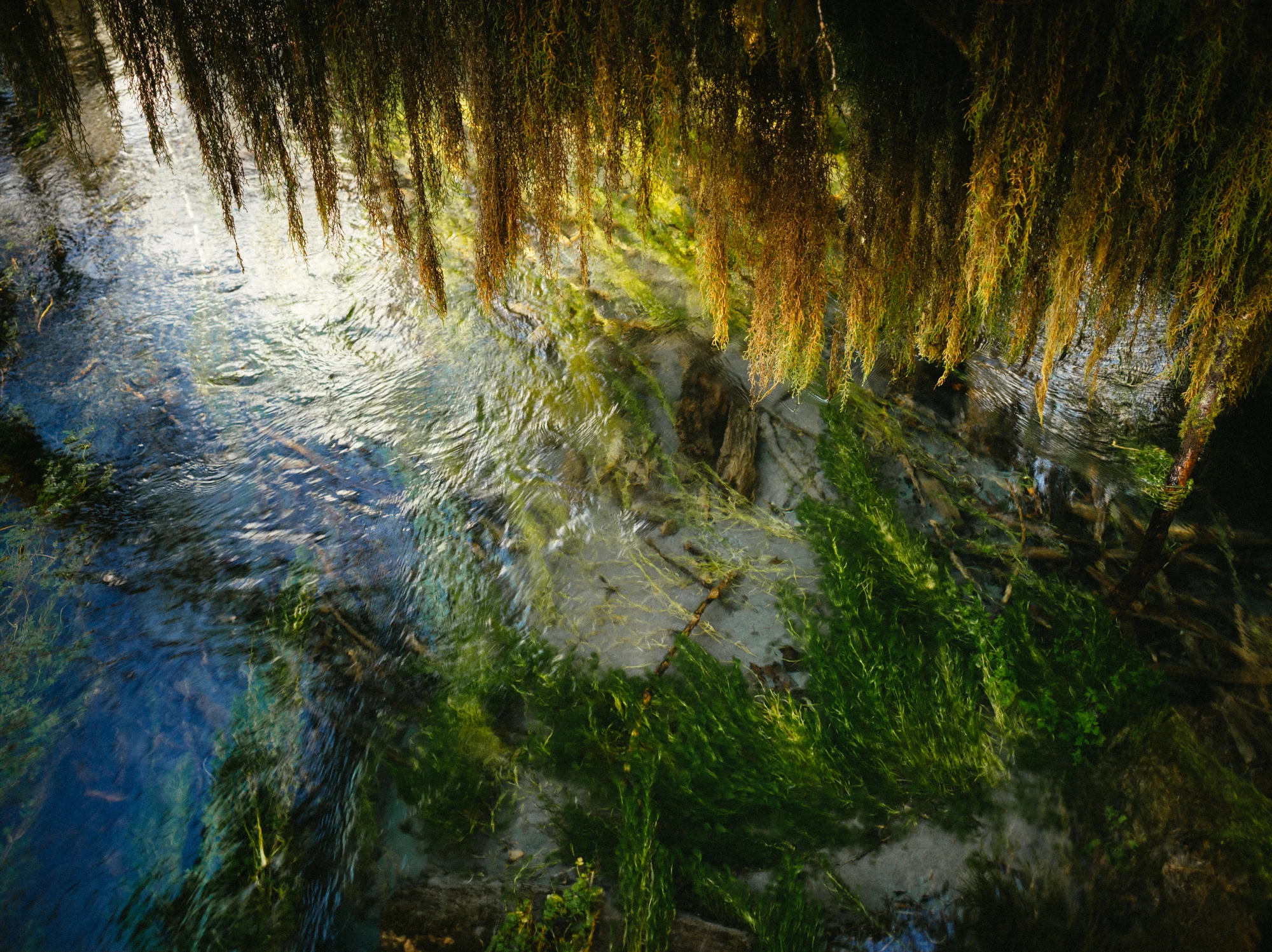 CF001359.jpg