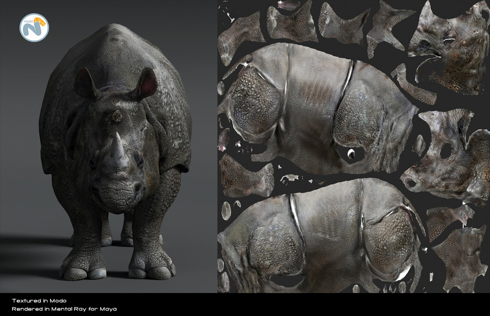 Lighting, texturing and rendering