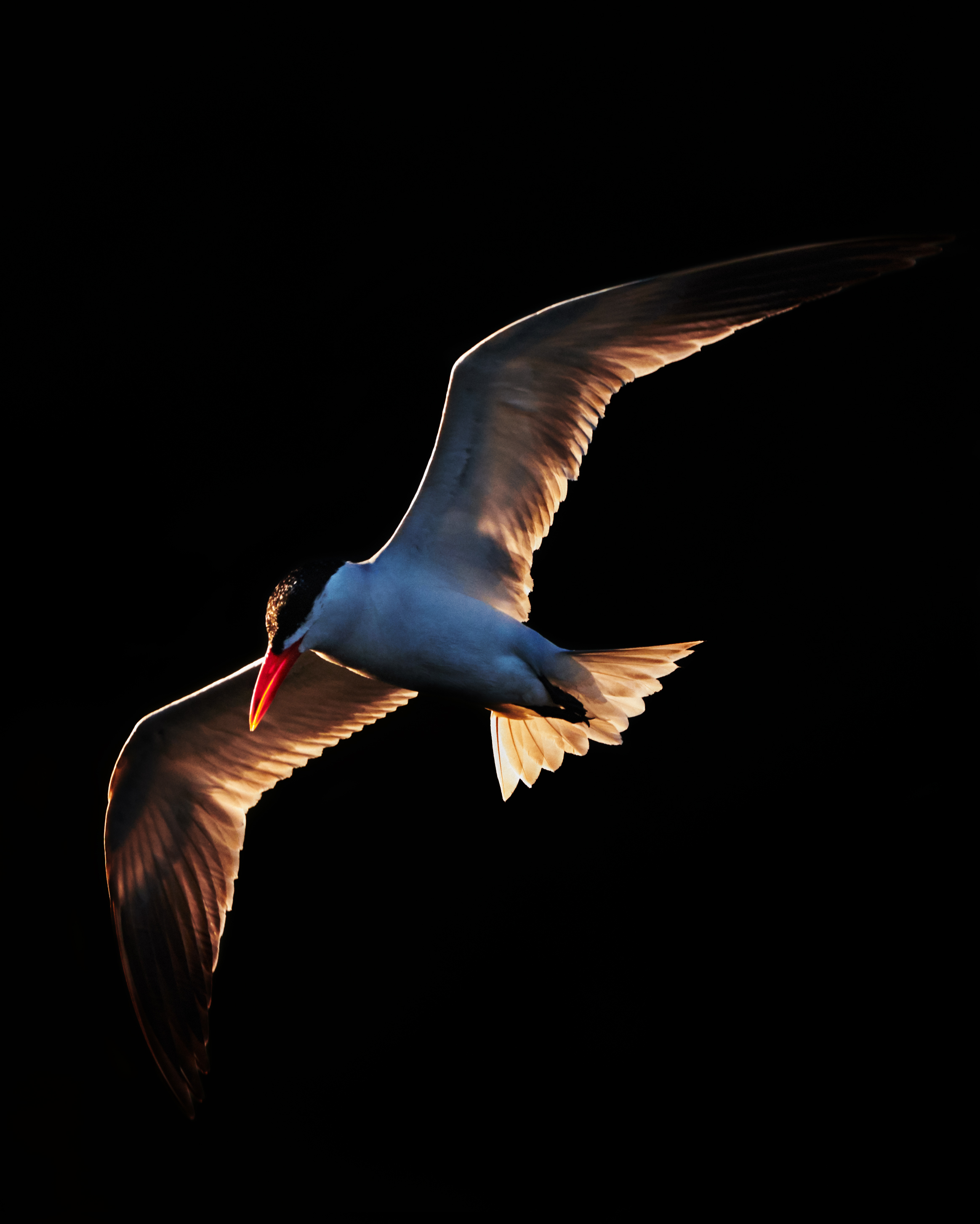 Caspian flight