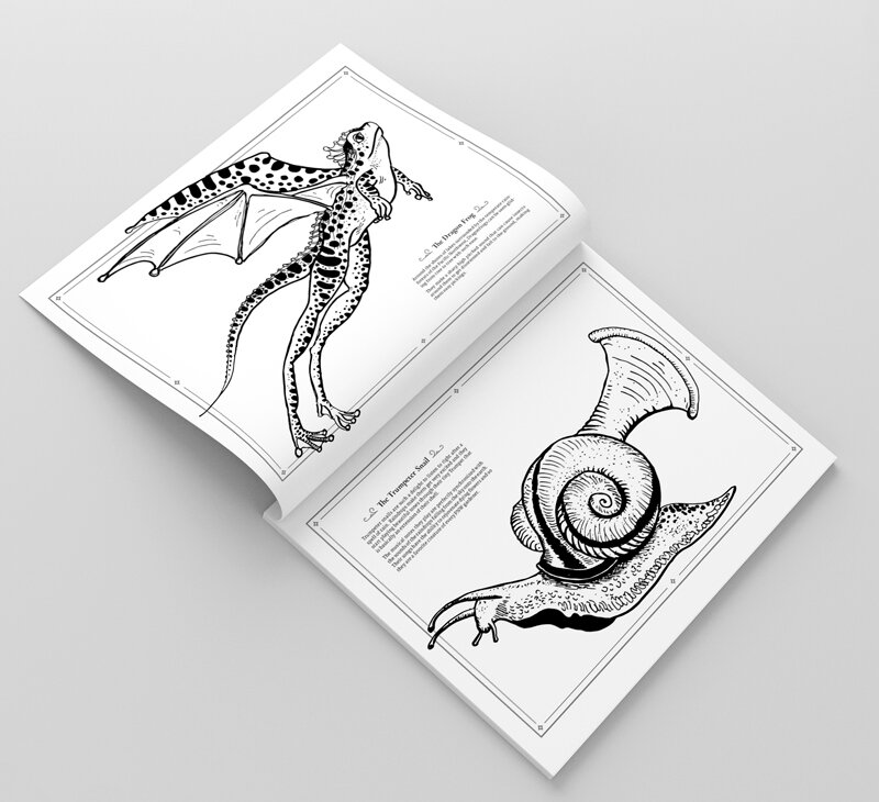 magazine_mockup.jpg