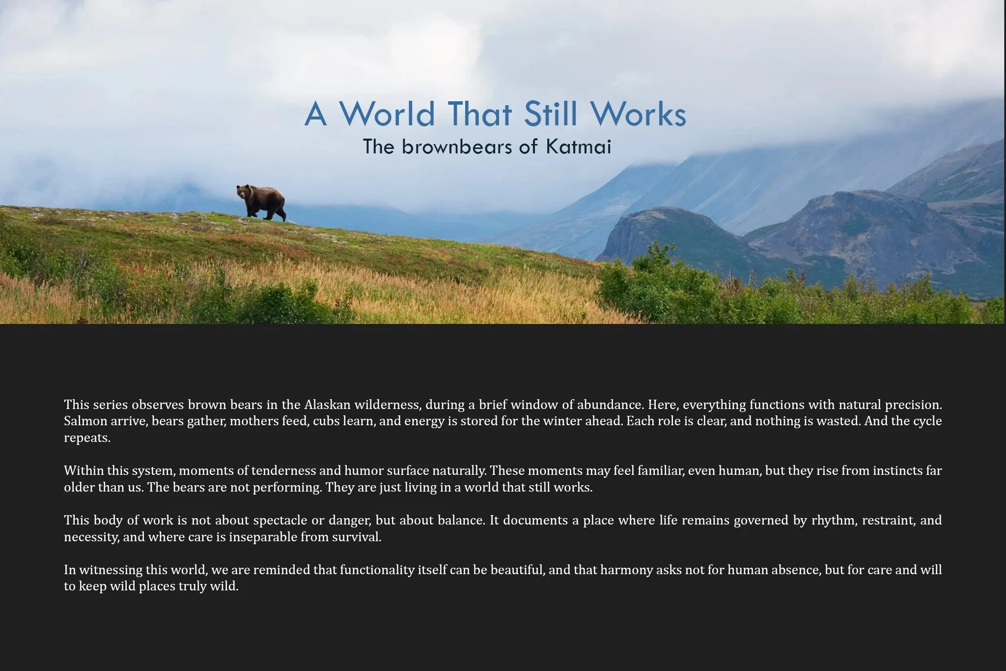 A World That Still Works copy.jpg