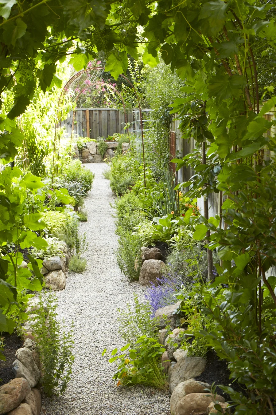 Pine House Edible Gardens
