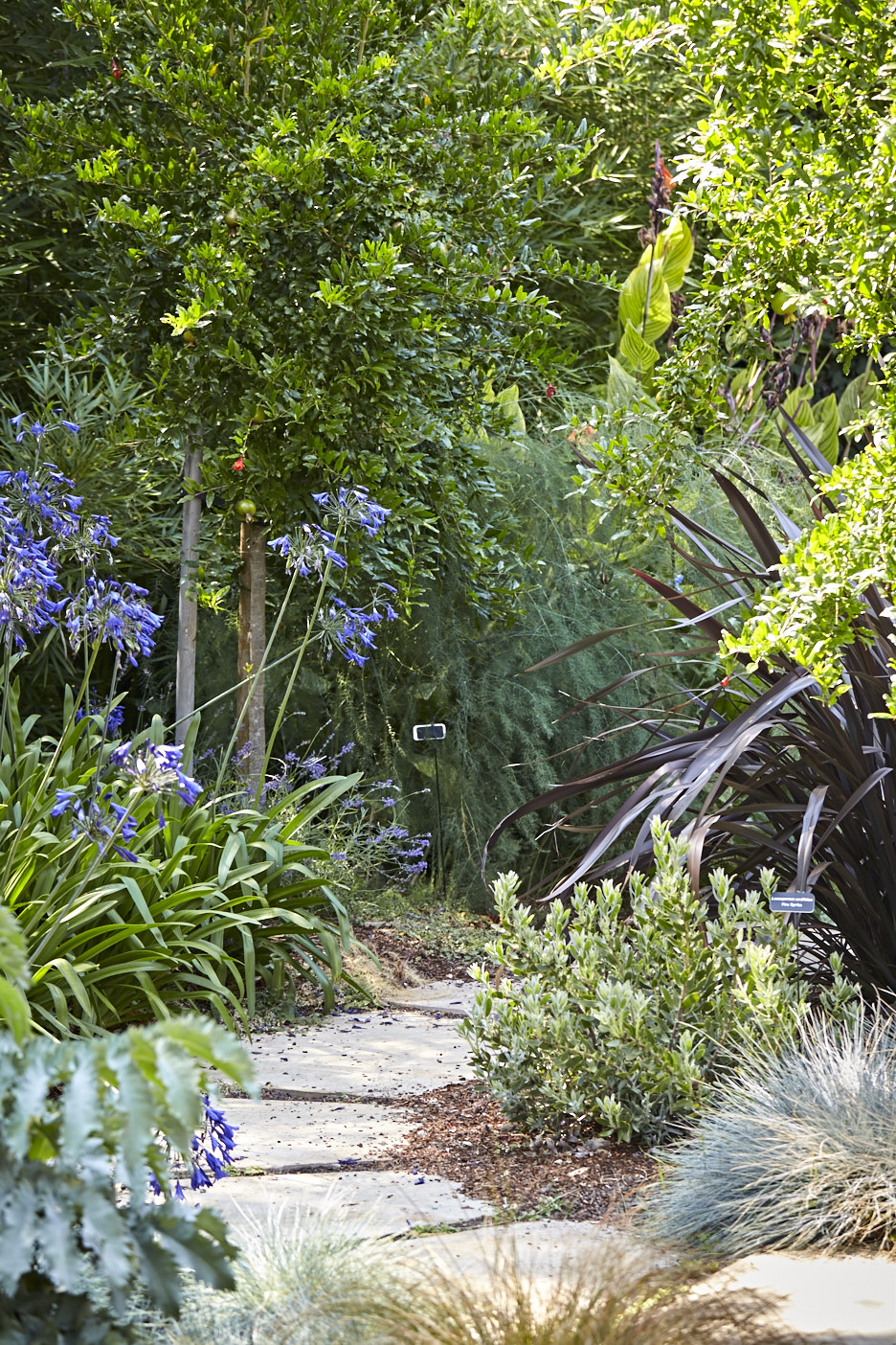 Pine House Edible Gardens