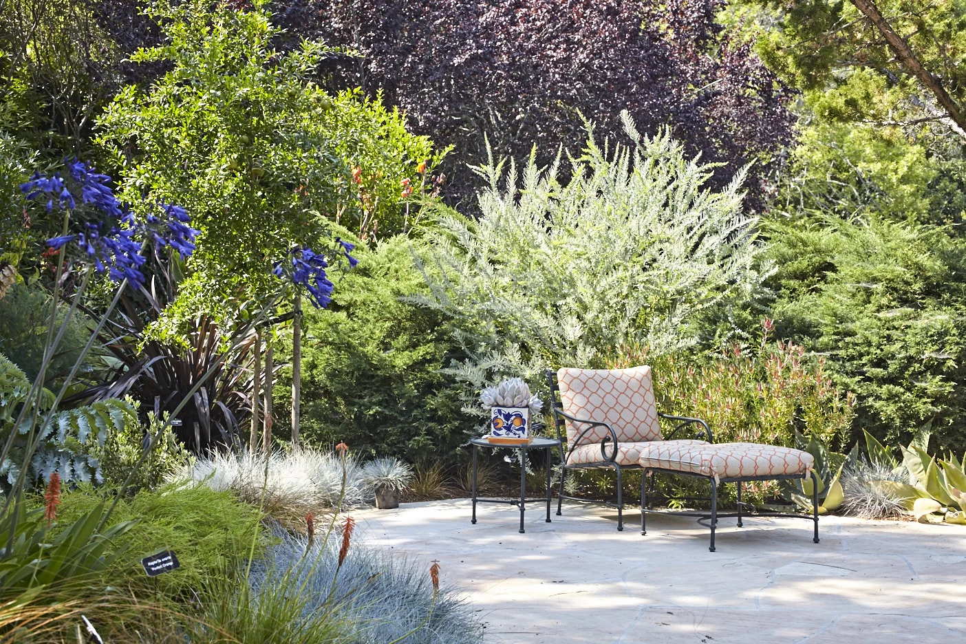 Pine House Edible Gardens