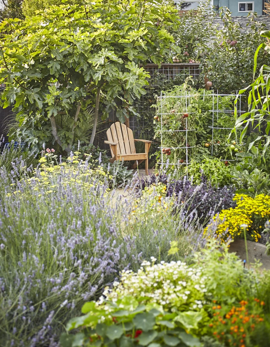 Pine House Edible Gardens