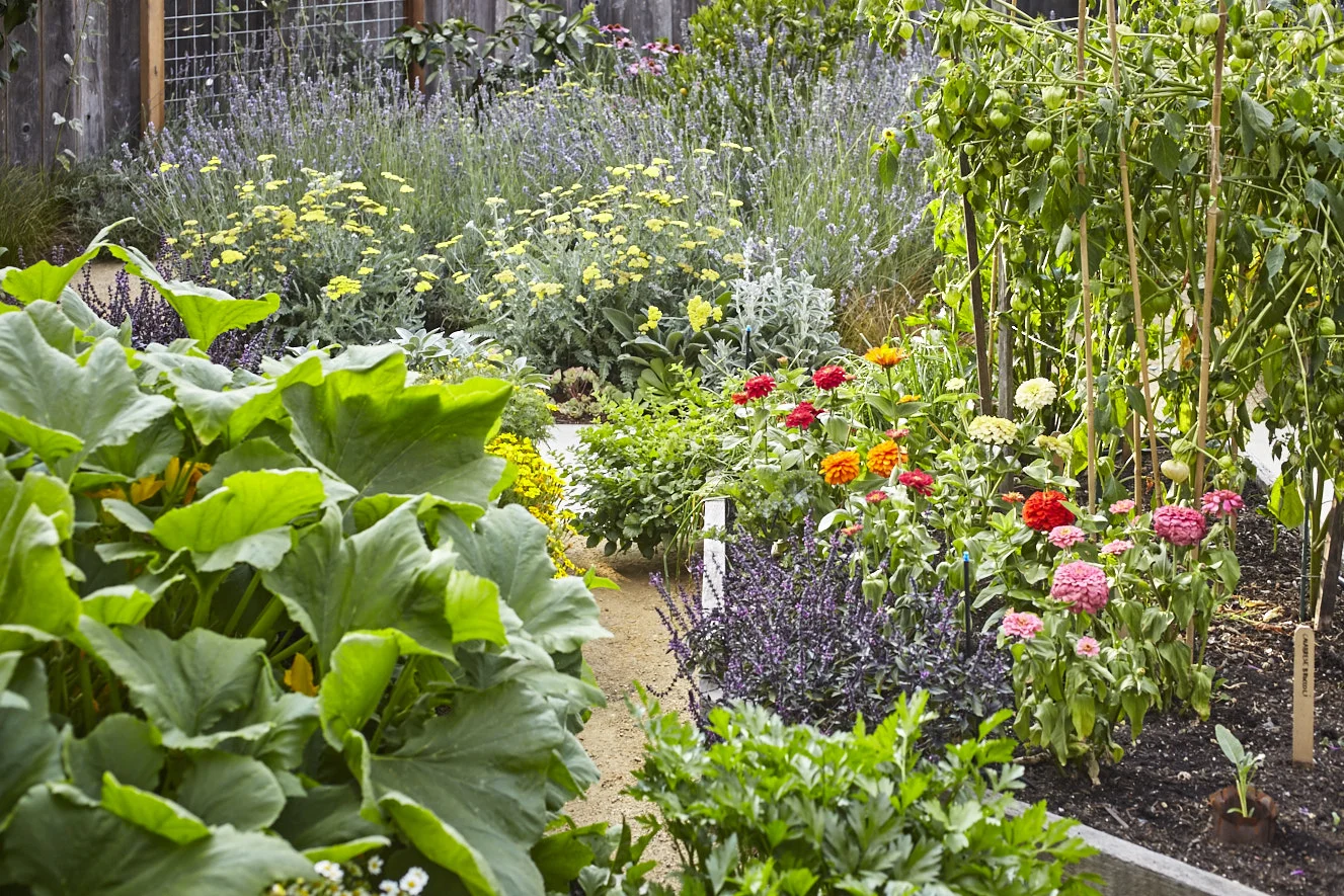 Pine House Edible Gardens