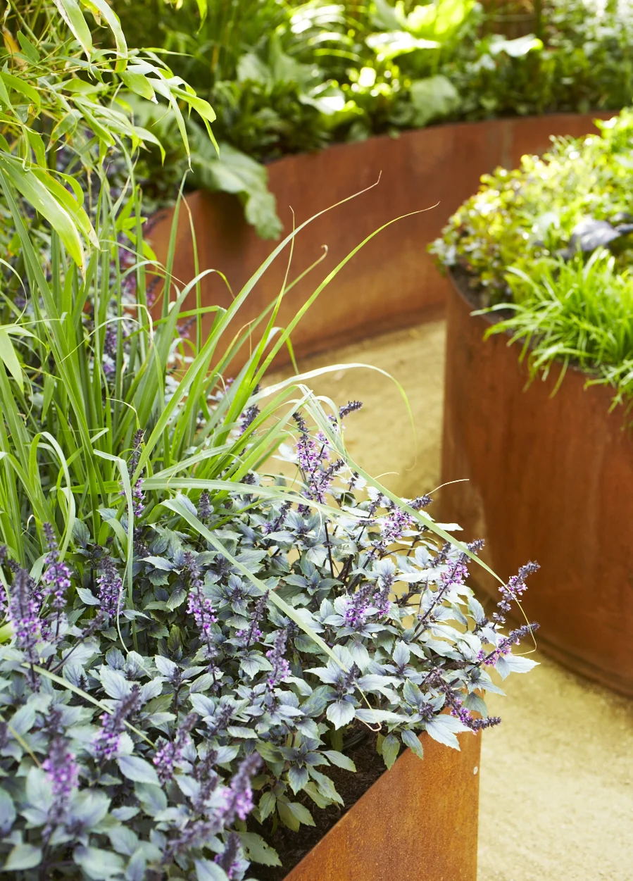 Pine House Edible Gardens