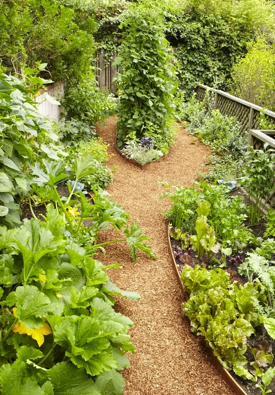Pine House Edible Gardens