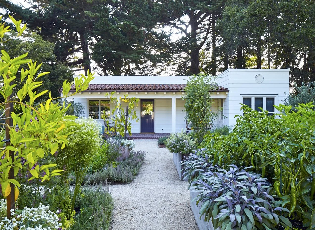 Pine House Edible Gardens