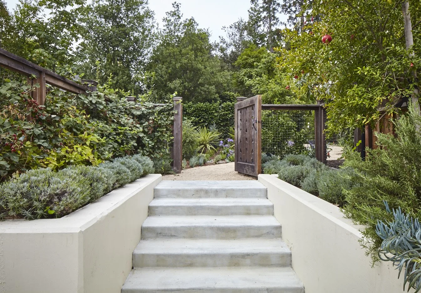 Pine House Edible Gardens