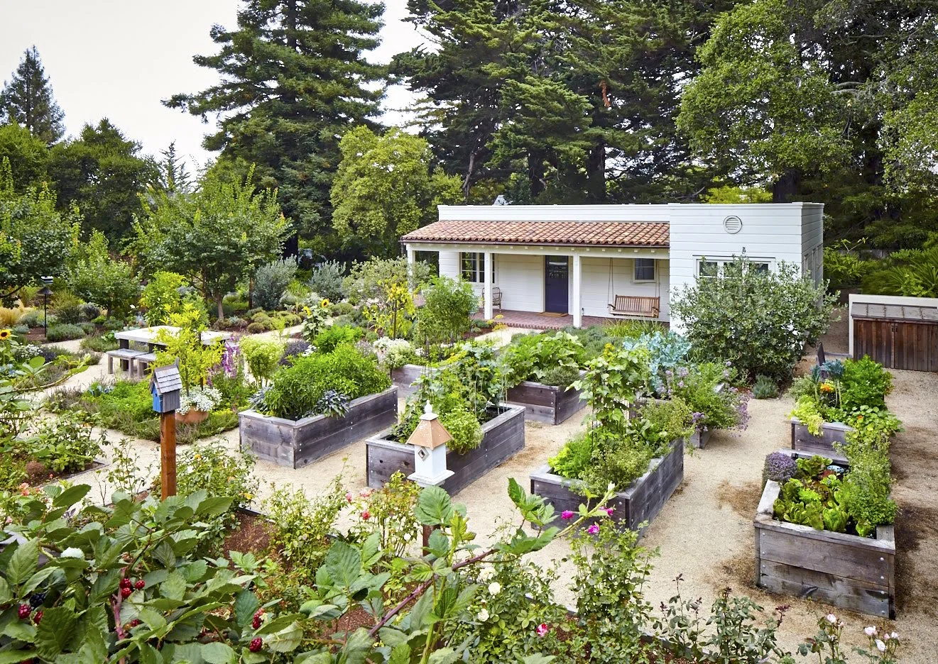 Pine House Edible Gardens