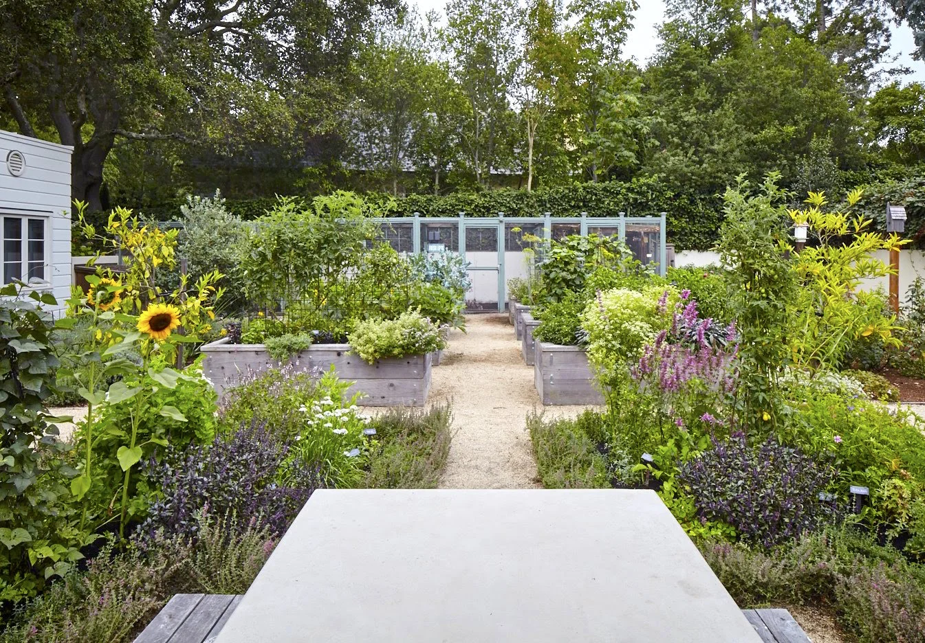Pine House Edible Gardens